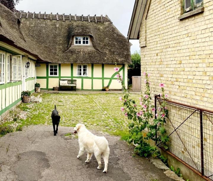Staevnegaarden Otel Flødstrup Dış mekan fotoğraf